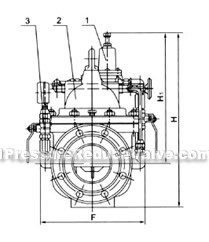 200X film-type reducing valve constructral diagram(pic2)